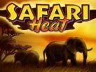 Safari_Heat_137х103